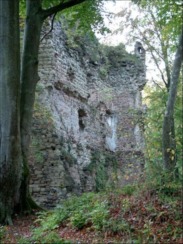 files/tl_filesOPO/Beitraege/opo_Allensbach-Ruine Kargegg-Bill.jpg